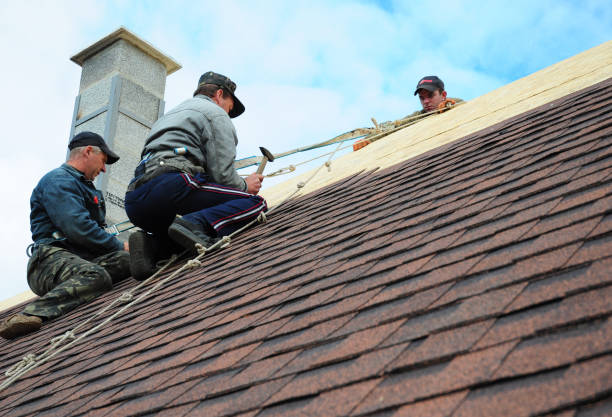 Best Flat Roof Repair Services  in Willmsburg, IA